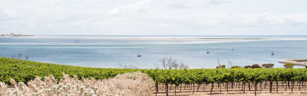 Bay of Shoaks wines