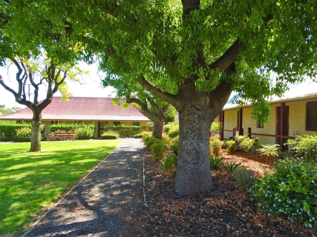 Goat Square - an original Barossa meeting place  a short distance away from the row of ‘primitive’ wineries that opened along Tanunda's Langmeil Road.