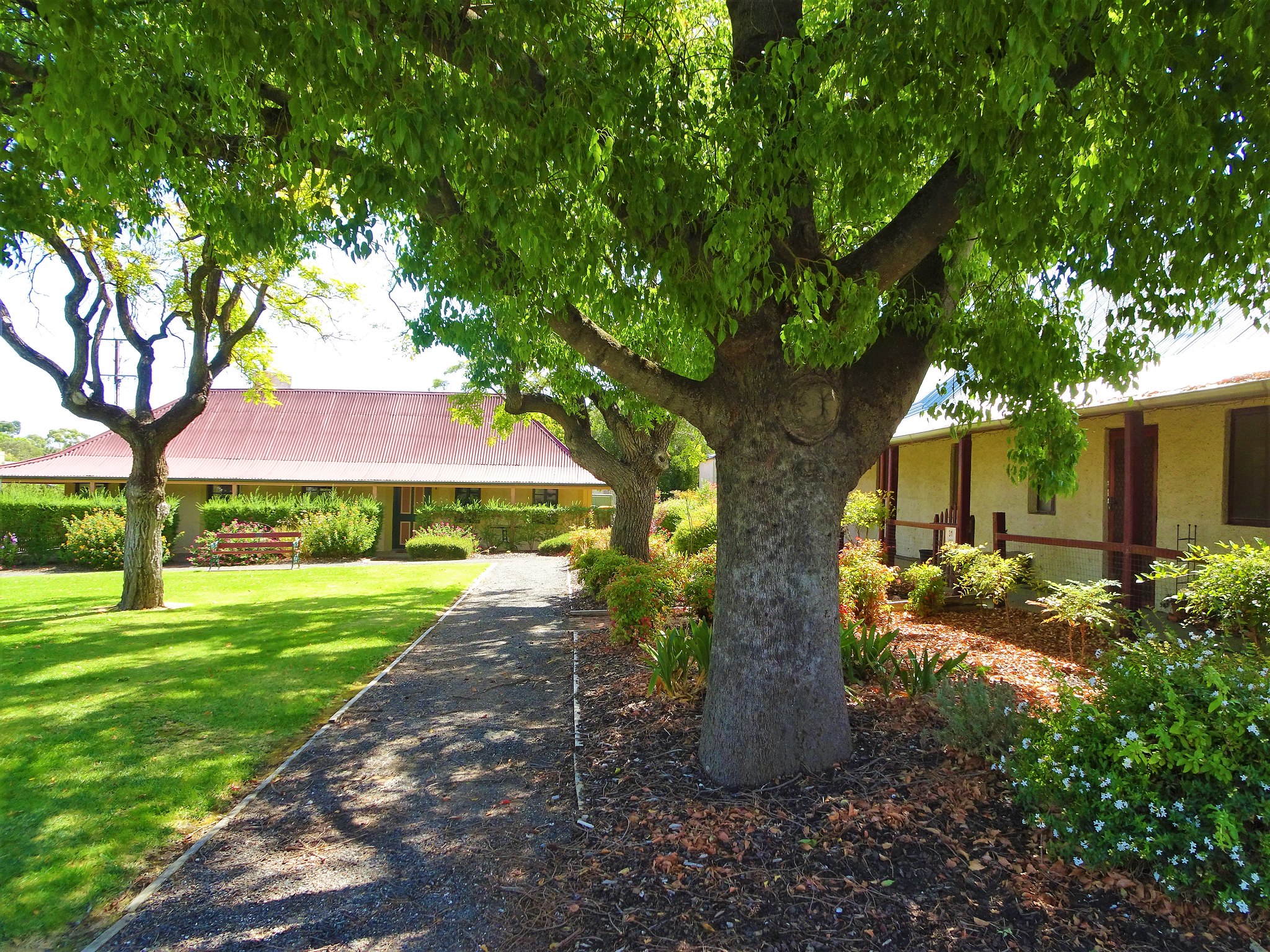 Goat Square - an original Barossa meeting place a short distance away from the row of ‘primitive’ wineries that opened along Tanunda's Langmeil Road.