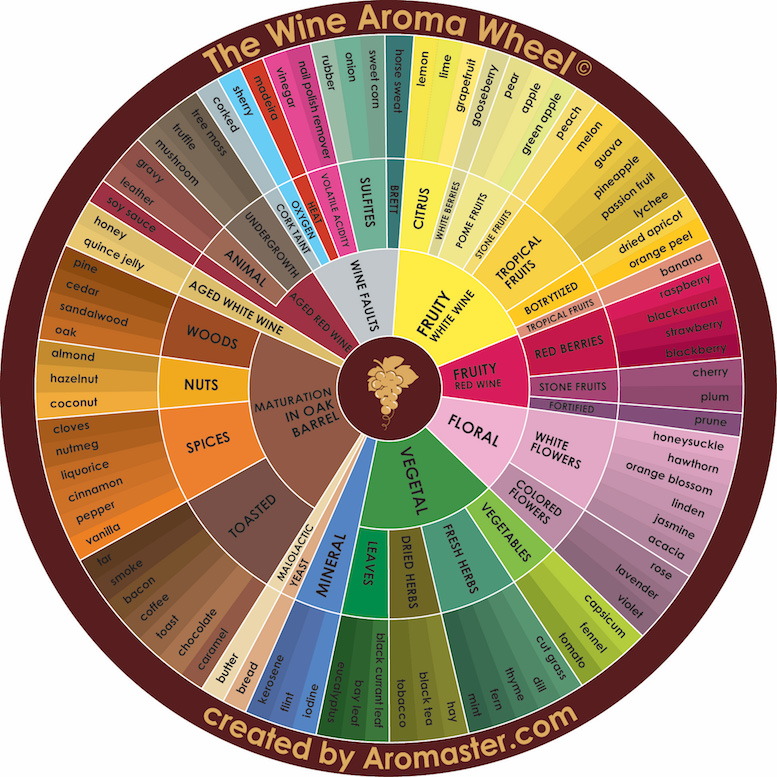 The wine aroma wheel