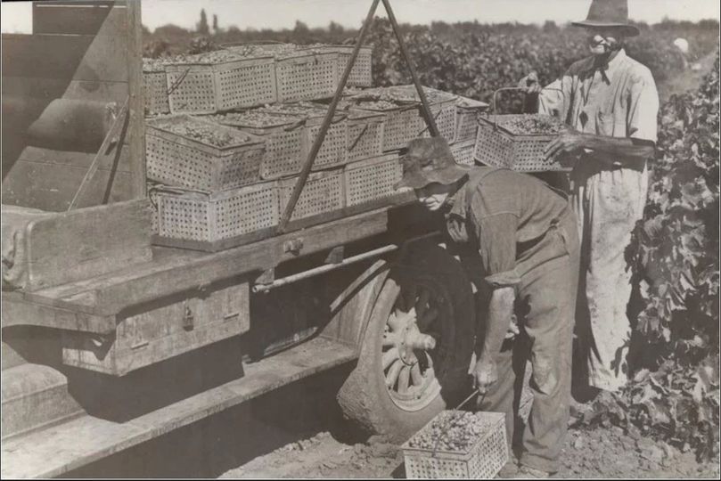 What's wrong at Wine Australia? It treats the growers of our riverlands as if they are peasants incapable of being helped.