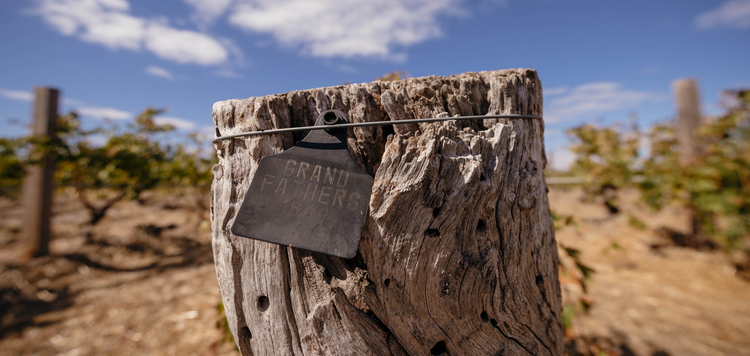 Barossa Valley- where a heritage lives on