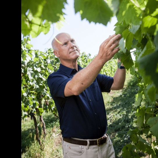 Master of Wine Richard Bampfield