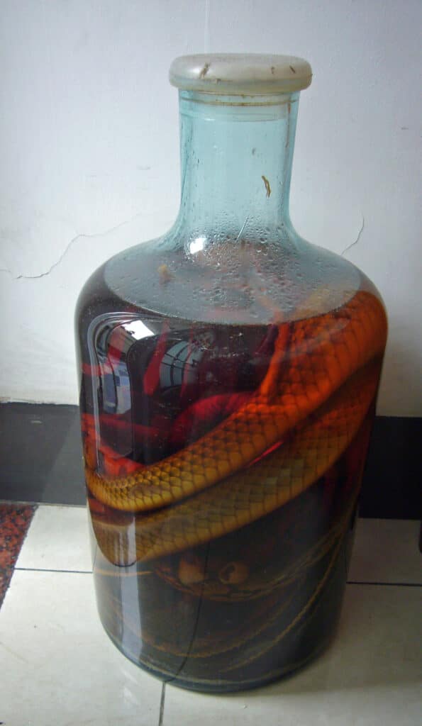 A bottle of snake wine photographed in the southern Chinese city of Guangzhou.