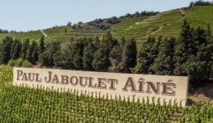 Jaboulet's Rhone vineyard